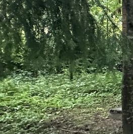 Продажа земли Надежда СНТ, 65