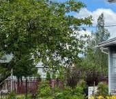 Продать Дачи, коттеджи, загородные дома Красницы садоводческий массив, Пушкинец садоводческое товарищество   