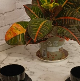 Продажа 2-комн квартиры на вторичном рынке Идрицкая ул,  д. 5 к3