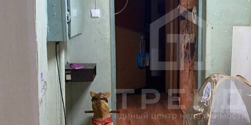 5-комн квартира Суздальский проспект, 57