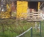 Продать Земельные участки, земля Мшинская садоводческий массив, НПО ВНИИМ имени Д.И. Менделеева СНТ, 3-я линия   