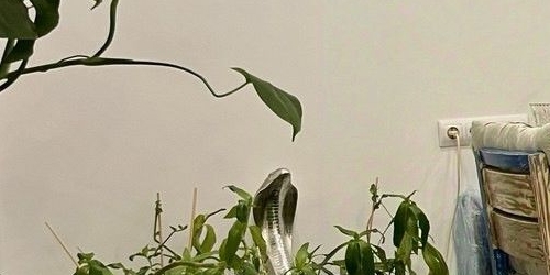 1-комн квартира Смоленская улица, 3-5