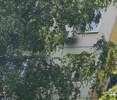 Продать Квартиры вторичка Туристская улица, 20К1   