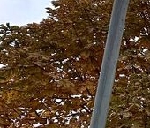 Продать Квартиры вторичка Королев, улица Фрунзе, 1Дк2   