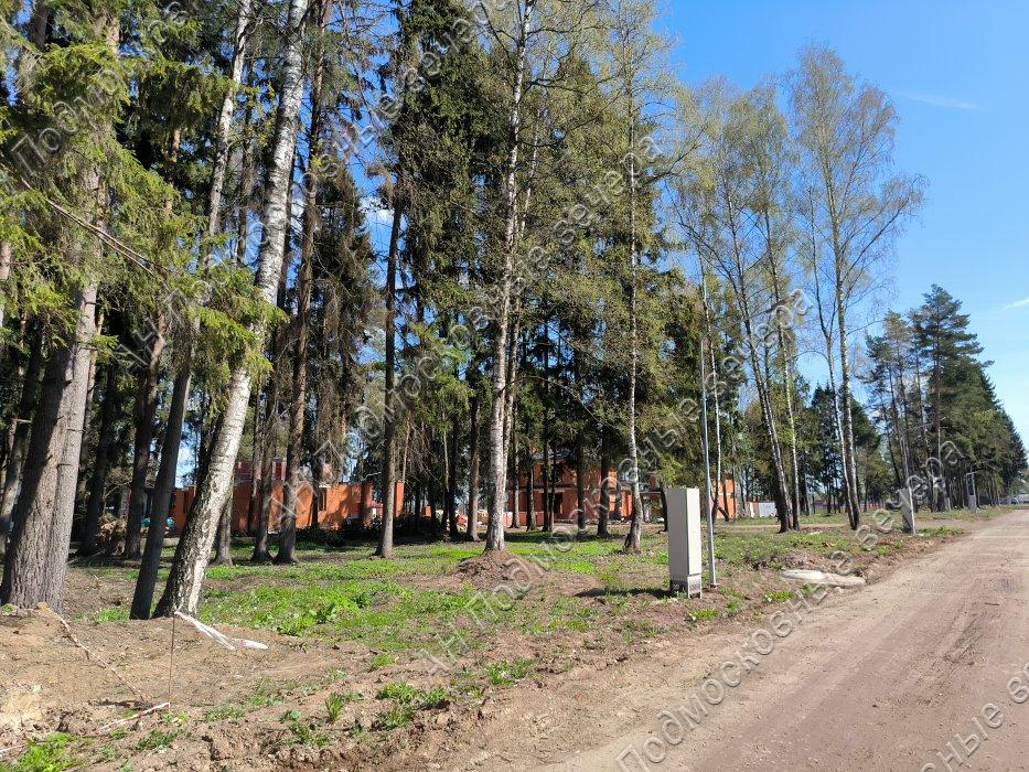 Продажа земли Голиково деревня,