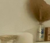 Сдать в аренду Квартиры вторичка Сестрорецк, улица Всеволода Боброва, 21   