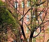 Продать Квартиры вторичка Большой Сампсониевский проспект, 108   