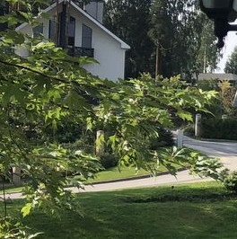 Продажа земли Янтарный Бор кп, д. Кирполье Продажа земли Янтарный Бор кп, д. Кирполье