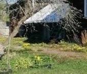 Продать Дачи, коттеджи, загородные дома д. Ситенка, улица Лесная, 13   