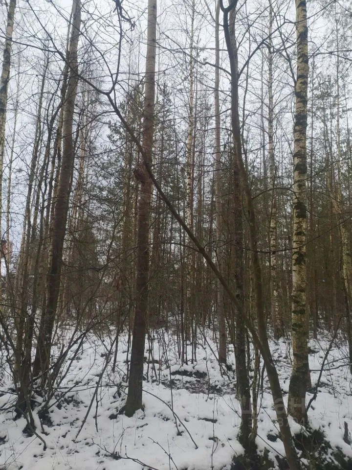 Продажа земли Алюмино СНТ, тупик Непокоренных