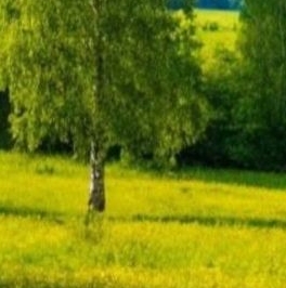 Продажа земли пос. Алексеевка, улица Лесная