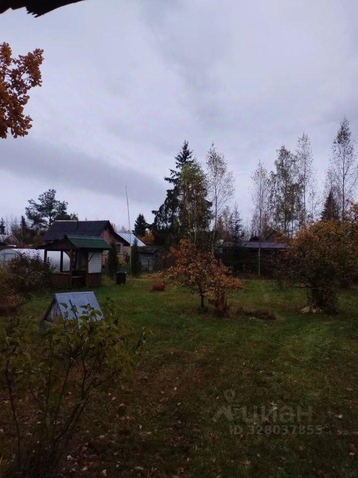 Продажа дома Бабино садоводческий массив, Нева СНТ, 446/448