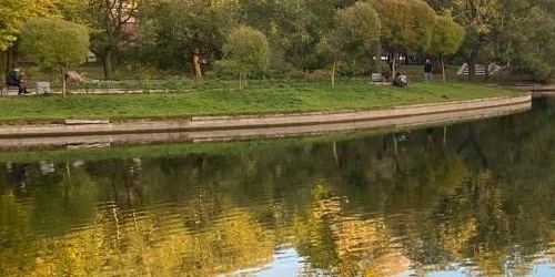 5-комн квартира проспект Римского-Корсакова, 1