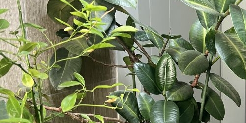 2-комн квартира улица Москворечье, 31к1