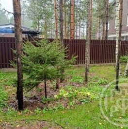 Продажа дома Рощино пос.