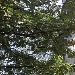 Продажа 2-комн квартиры на вторичном рынке Балашиха, улица Карбышева, 13 Продажа 2-комн квартиры на вторичном рынке Балашиха, улица Карбышева, 13