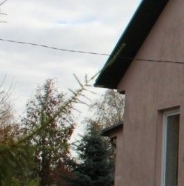 Продажа дома д. Пеники, улица Центральная, 2