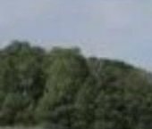 Продать Земельные участки, земля Заозерье СНТ   