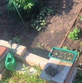 Продажа дома Мяглово-Карьер садоводческий массив, Уткина заводь СНТ, 9-я линия,  д. 269