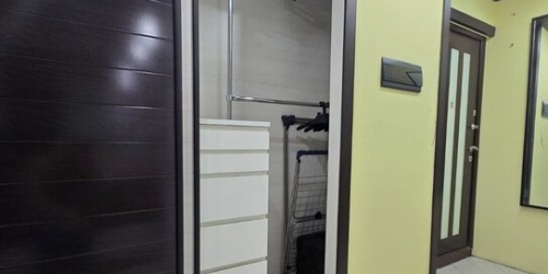 3-комн квартира улица Василия Петушкова,  д. 17