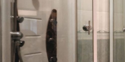 2-комн квартира Пушкин, Школьная улица, 39/33