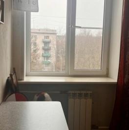 Продажа 1-комн квартиры на вторичном рынке Приморское шоссе,  д. 292