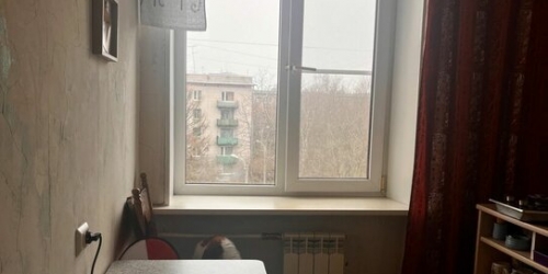 1-комн квартира Приморское шоссе,  д. 292