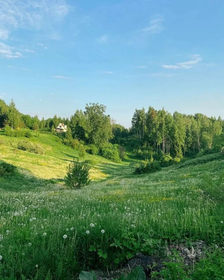 Продажа земли Культура СНТ