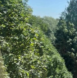 Продажа 2-комн квартиры на вторичном рынке улица Добровольцев, 26 Продажа 2-комн квартиры на вторичном рынке улица Добровольцев, 26