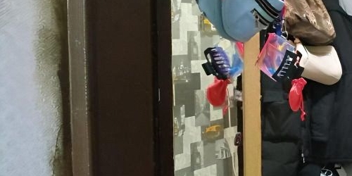 1-комн квартира Колпино, улица Анисимова, 2