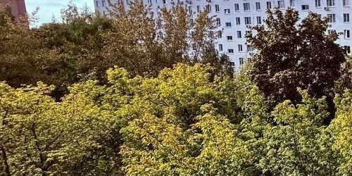 1-комн квартира улица Малышева, 24