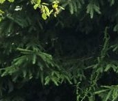 Продать Дачи, коттеджи, загородные дома Ульяновка пгт, проспект Советский, 177А   