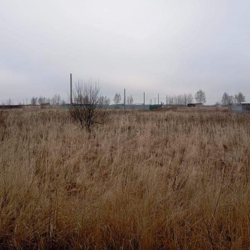 Земельный участок деревня Аргуново