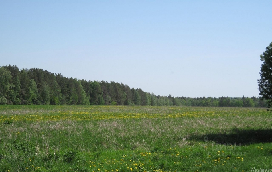 Продажа земли Райсемёновское, 46Н-11244