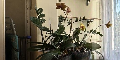 2-комн квартира улица Маршала Захарова, 9