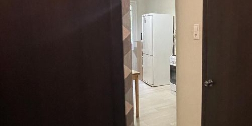 1-комн квартира Зеленый проспект, 52К1