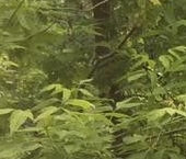 Продать Комнаты в квартирах Окружной проезд, 24   