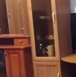 Аренда 1-комн квартиры на вторичном рынке д. Новое Девяткино, улица Арсенальная, 1