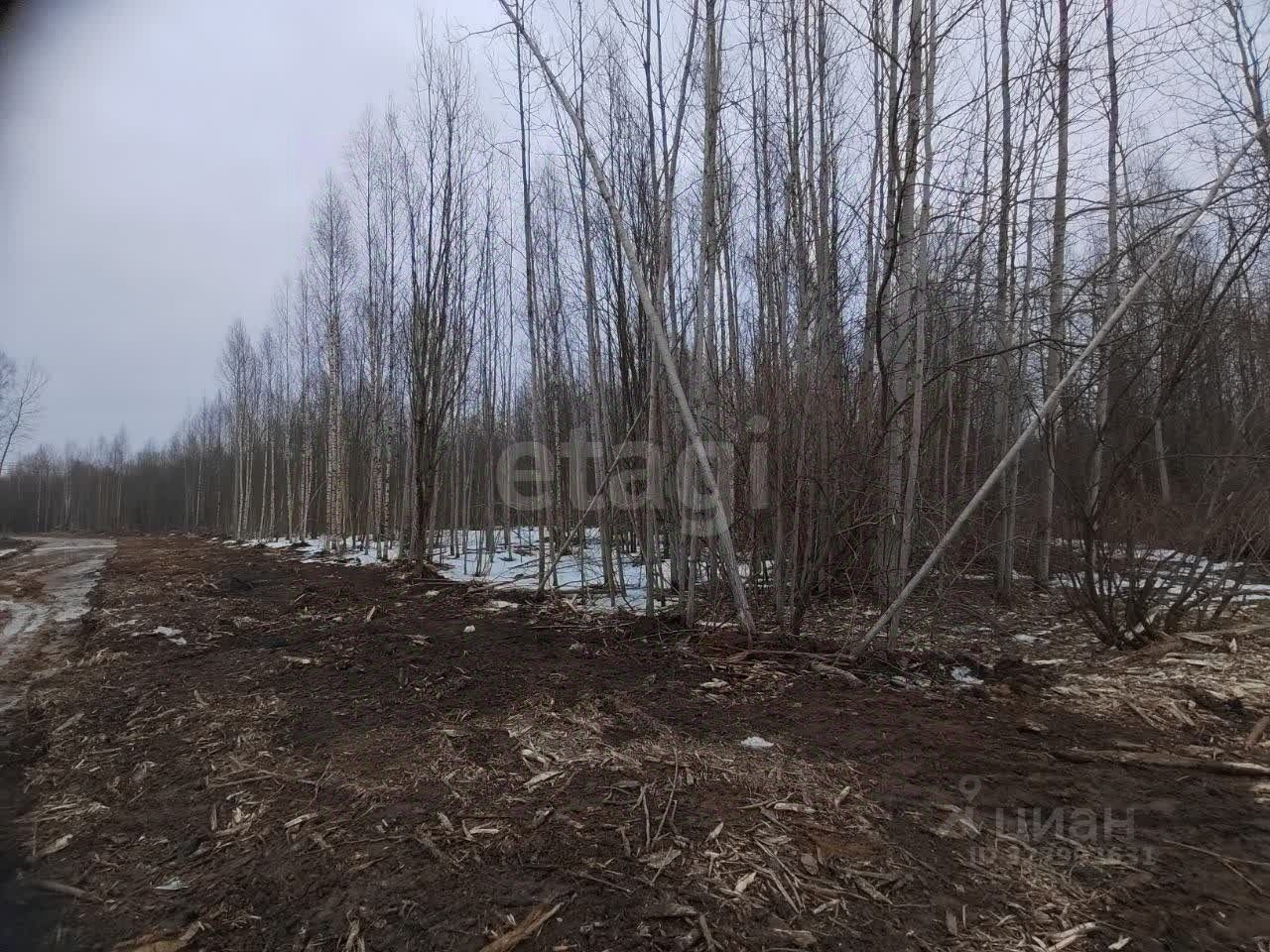 Продажа земли Ладога СНТ