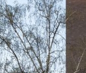 Продать Квартиры вторичка улица Маршала Тимошенко, 8   