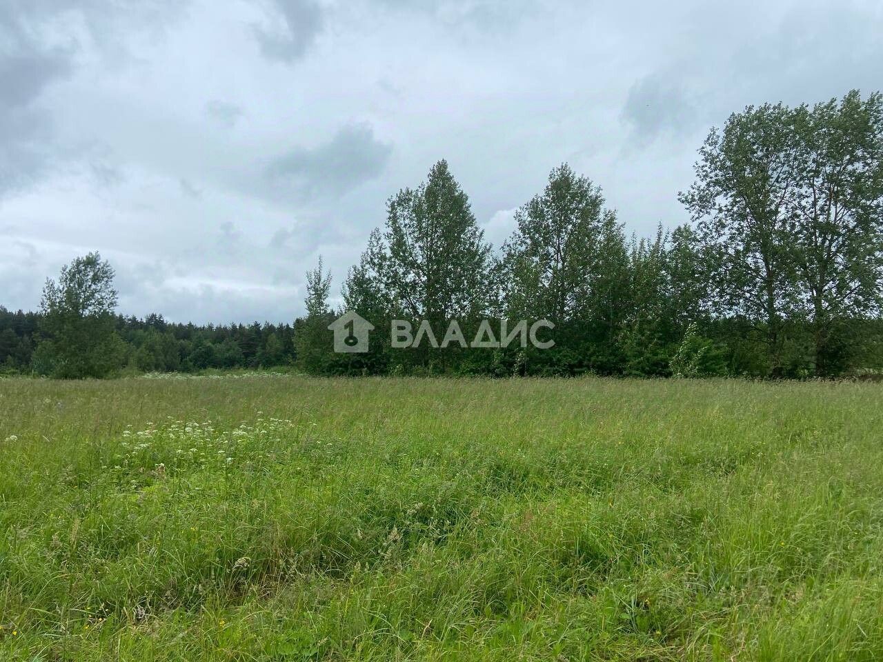 Продажа земли д. Пустошка, 7
