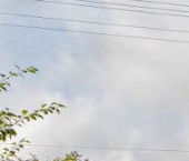 Продать Дачи, коттеджи, загородные дома Энергия СНТ, 92   