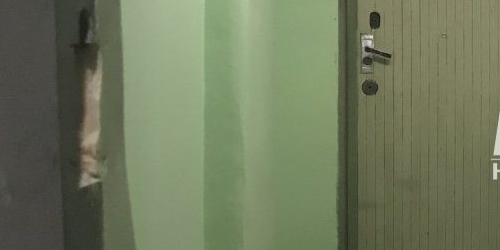 1-комн квартира Лабораторная улица, 17