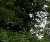 Продать Квартиры вторичка Петровско-Разумовский проезд, 20   