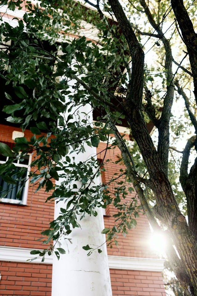 Продажа дома пос. Парголово, улица Шишкина, 109