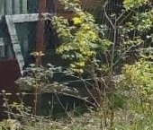 Продать Земельные участки, земля д. Решетниково, улица Лесная   