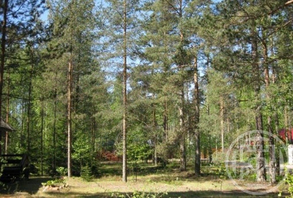Продажа дома пос. Ильичево, улица Карельская