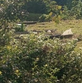 Продажа дома д. Монделево, улица Летняя, 82 Продажа дома д. Монделево, улица Летняя, 82