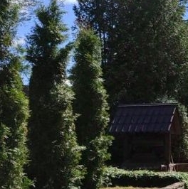 Продажа дома Пирит-1 СНТ, 237