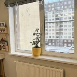 Продажа 2-комн квартиры на вторичном рынке Ветеранов пр-кт,  д. 169 к3